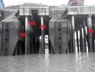 福建湄洲灣電廠碼頭樁檢測報告