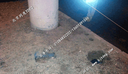 rdscan道路塌陷探測